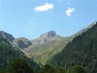 Pyrenaen Bild